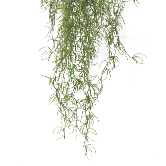 DSZ Product, feed-cond-new, feed-sl-DSZ Freight Payable, newArtificial Air Plant Spanish Moss Uv Resistant 100Cm - Premium Home & Garden > Artificial Plants > Artifical Flowers & Plants from Designer Plants ! Shop Online Buy Now at S & D's Value Store Family Business Best Customer ServiceDSZ Product, feed-cond-new, feed-sl-DSZ Freight Payable, new