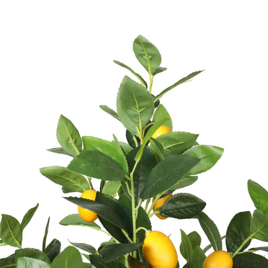 DSZ Product, feed-cond-new, feed-sl-DSZ Freight Payable, newArtificial Lemon Tree (Potted) With Lemons 150Cm - Premium Home & Garden > Artificial Plants > Artifical Flowers & Plants from DSZ ! Shop Online Buy Now at S & D's Value Store Family Business Best Customer ServiceDSZ Product, feed-cond-new, feed-sl-DSZ Freight Payable, new