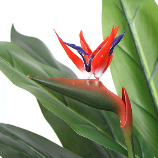 Artificial Bird of Paradise Plant with vibrant red flowers, perfect for a tropical decor, affordable and low maintenance.