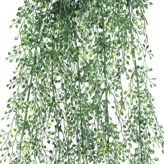 DSZ Product, feed-cond-new, feed-sl-DSZ Freight Payable, newArtificial Hanging Jade Leaf Vine Uv Resistant 90Cm - Premium Home & Garden > Artificial Plants > Artificial Hanging Plants from DSZ ! Shop Online Buy Now at S & D's Value Store Family Business Best Customer ServiceDSZ Product, feed-cond-new, feed-sl-DSZ Freight Payable, new