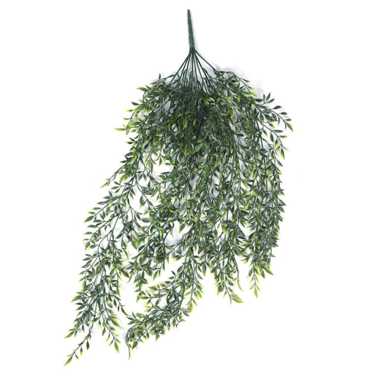 DSZ Product, feed-cond-new, feed-sl-DSZ Freight Payable, newArtificial Hanging Ruscus Leaf Plant Uv Resistant 90Cm - Premium Home & Garden > Artificial Plants > Artifical Flowers & Plants from DSZ ! Shop Online Buy Now at S & D's Value Store Family Business Best Customer ServiceDSZ Product, feed-cond-new, feed-sl-DSZ Freight Payable, new