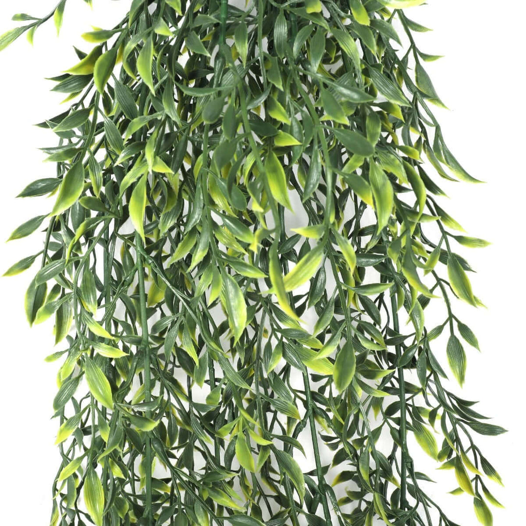 DSZ Product, feed-cond-new, feed-sl-DSZ Freight Payable, newArtificial Hanging Ruscus Leaf Plant Uv Resistant 90Cm - Premium Home & Garden > Artificial Plants > Artifical Flowers & Plants from DSZ ! Shop Online Buy Now at S & D's Value Store Family Business Best Customer ServiceDSZ Product, feed-cond-new, feed-sl-DSZ Freight Payable, new