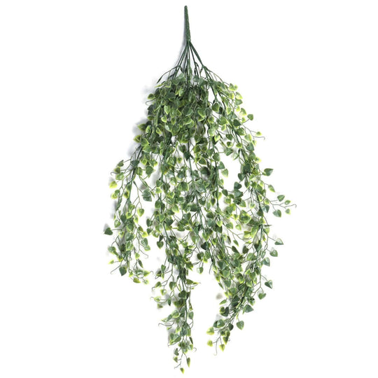 DSZ Product, feed-cond-new, feed-sl-DSZ Freight Payable, newArtificial Hanging Plant (Heart Leaf) Uv Resistant 90Cm - Premium Home & Garden > Artificial Plants > Artifical Flowers & Plants from DSZ ! Shop Online Buy Now at S & D's Value Store Family Business Best Customer ServiceDSZ Product, feed-cond-new, feed-sl-DSZ Freight Payable, new