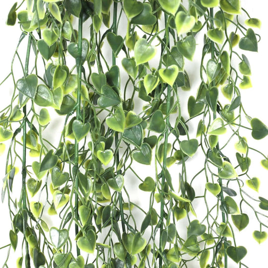 DSZ Product, feed-cond-new, feed-sl-DSZ Freight Payable, newArtificial Hanging Plant (Heart Leaf) Uv Resistant 90Cm - Premium Home & Garden > Artificial Plants > Artifical Flowers & Plants from DSZ ! Shop Online Buy Now at S & D's Value Store Family Business Best Customer ServiceDSZ Product, feed-cond-new, feed-sl-DSZ Freight Payable, new