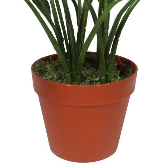 DSZ Product, feed-cond-new, feed-sl-DSZ Freight Payable, newArtificial Spathiphyllum Peace Lily Plant With White Flowers 60Cm - Premium Home & Garden > Artificial Plants > Artifical Flowers & Plants from DSZ ! Shop Online Buy Now at S & D's Value Store Family Business Best Customer ServiceDSZ Product, feed-cond-new, feed-sl-DSZ Freight Payable, new