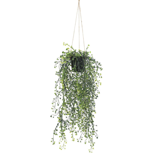 DSZ Product, feed-cond-new, feed-sl-DSZ Freight Payable, newArtificial Hanging Pearls (Potted) 56Cm Uv Resistant - Premium Home & Garden > Artificial Plants > Artificial Hanging Plants from DSZ ! Shop Online Buy Now at S & D's Value Store Family Business Best Customer ServiceDSZ Product, feed-cond-new, feed-sl-DSZ Freight Payable, new