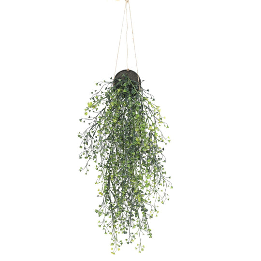 DSZ Product, feed-cond-new, feed-sl-DSZ Freight Payable, newArtificial Hanging Pearls (Potted) 56Cm Uv Resistant - Premium Home & Garden > Artificial Plants > Artificial Hanging Plants from DSZ ! Shop Online Buy Now at S & D's Value Store Family Business Best Customer ServiceDSZ Product, feed-cond-new, feed-sl-DSZ Freight Payable, new