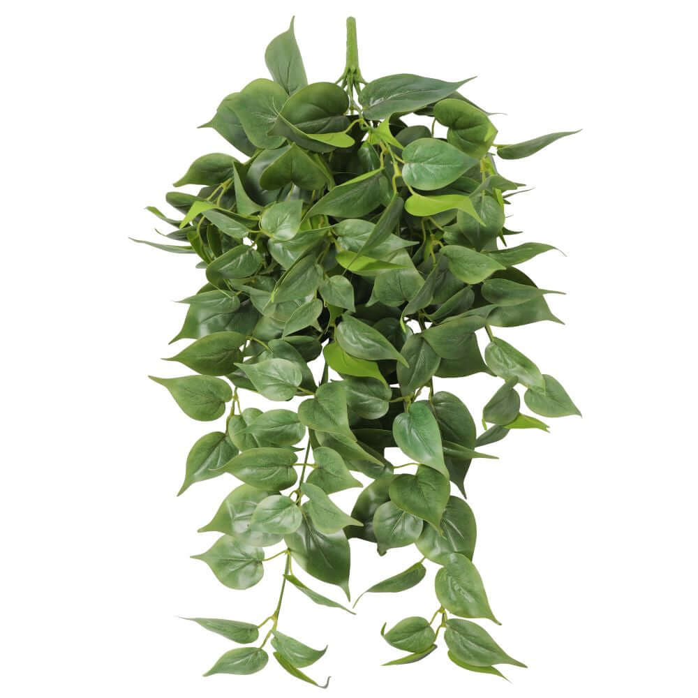 DSZ Product, feed-cond-new, feed-sl-DSZ Freight Payable, newNearly Natural Artificial Philodendron Hanging Bush 75Cm - Premium Home & Garden > Artificial Plants > Artifical Flowers & Plants from DSZ ! Shop Online Buy Now at S & D's Value Store Family Business Best Customer ServiceDSZ Product, feed-cond-new, feed-sl-DSZ Freight Payable, new