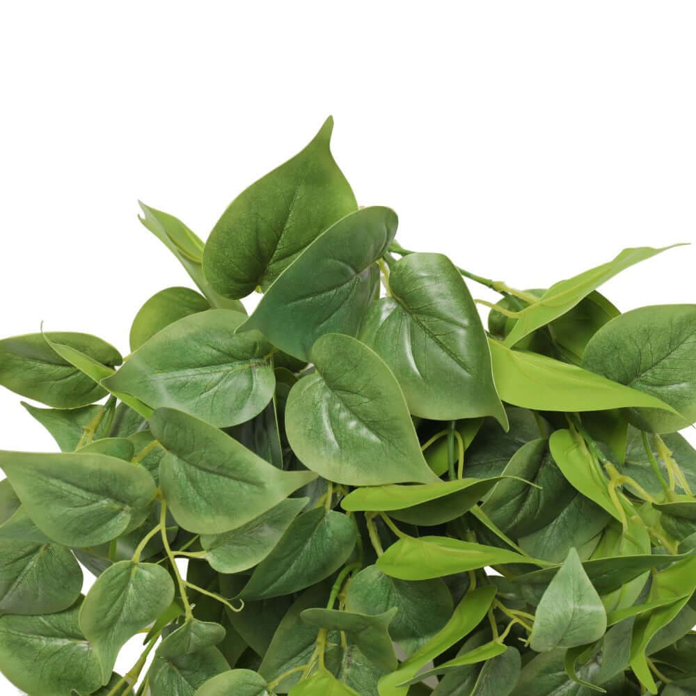 DSZ Product, feed-cond-new, feed-sl-DSZ Freight Payable, newNearly Natural Artificial Philodendron Hanging Bush 75Cm - Premium Home & Garden > Artificial Plants > Artifical Flowers & Plants from DSZ ! Shop Online Buy Now at S & D's Value Store Family Business Best Customer ServiceDSZ Product, feed-cond-new, feed-sl-DSZ Freight Payable, new