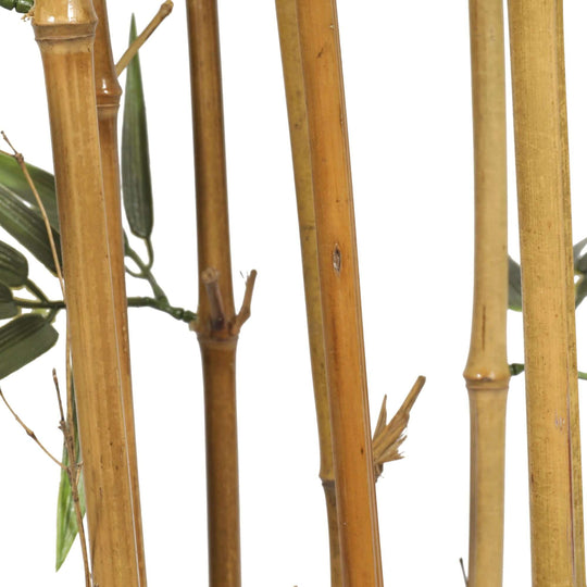 DSZ Product, feed-cond-new, feed-sl-DSZ Freight Payable, newPremium Natural Cane Artificial Bamboo (Uv Resistant) 150Cm - Premium Home & Garden > Artificial Plants > Artificial Trees from Designer Plants ! Shop Online Buy Now at S & D's Value Store Family Business Best Customer ServiceDSZ Product, feed-cond-new, feed-sl-DSZ Freight Payable, new