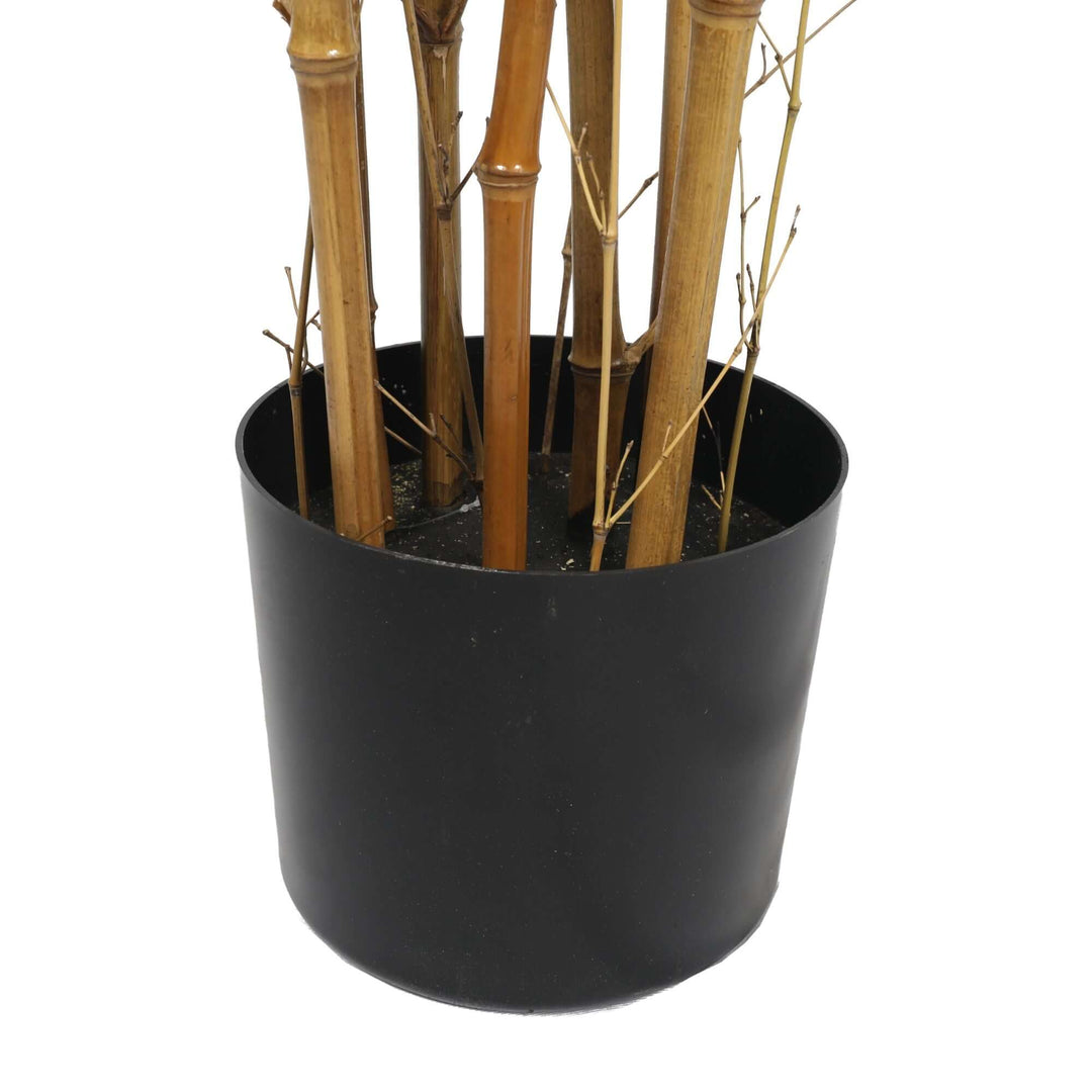 DSZ Product, feed-cond-new, feed-sl-DSZ Freight Payable, newPremium Natural Cane Artificial Bamboo (Uv Resistant) 150Cm - Premium Home & Garden > Artificial Plants > Artificial Trees from Designer Plants ! Shop Online Buy Now at S & D's Value Store Family Business Best Customer ServiceDSZ Product, feed-cond-new, feed-sl-DSZ Freight Payable, new