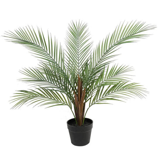 DSZ Product, feed-cond-new, feed-sl-DSZ Freight Payable, newSmall Artificial Areca Palm Plant 80Cm - Premium Home & Garden > Artificial Plants > Artifical Flowers & Plants from Designer Plants ! Shop Online Buy Now at S & D's Value Store Family Business Best Customer ServiceDSZ Product, feed-cond-new, feed-sl-DSZ Freight Payable, new