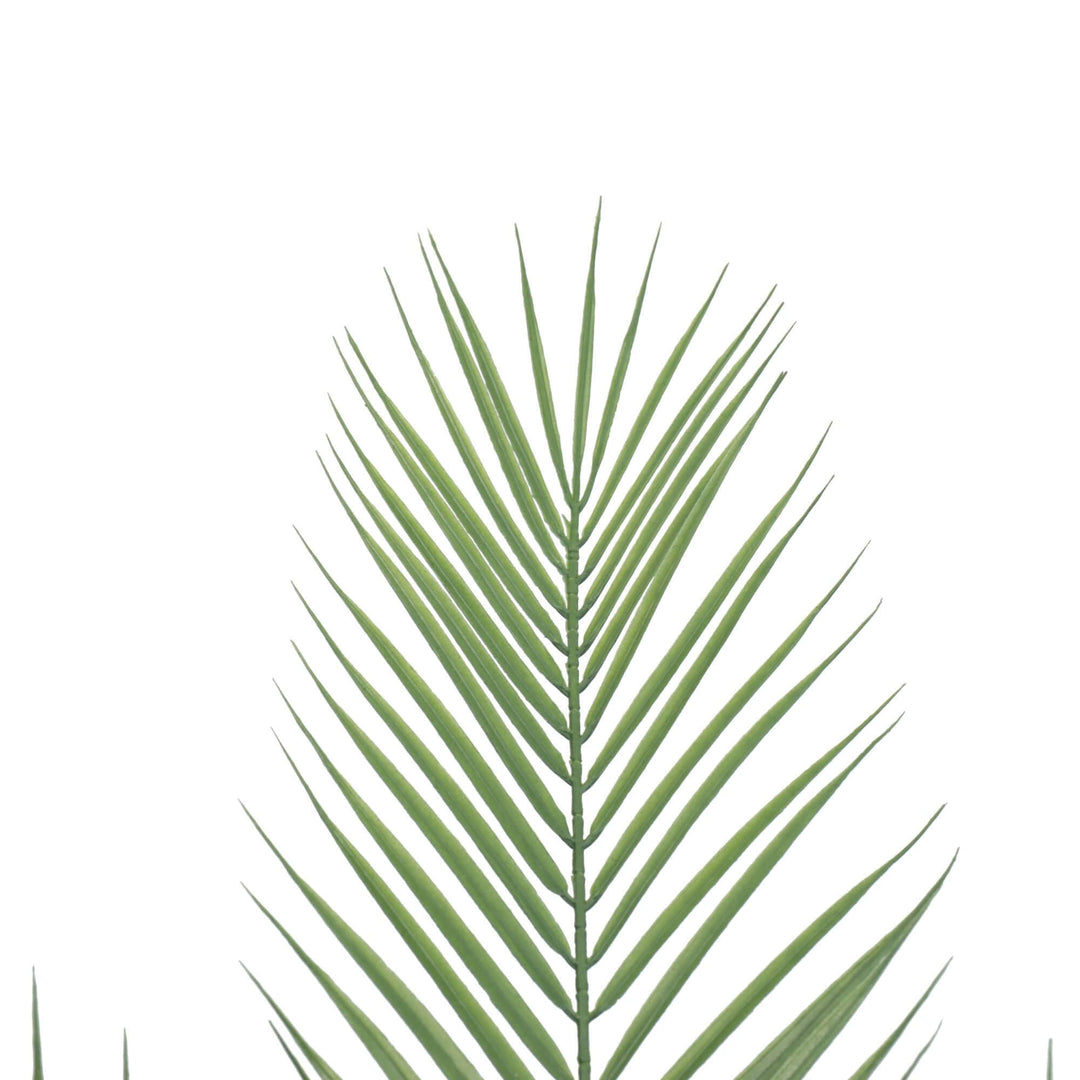 DSZ Product, feed-cond-new, feed-sl-DSZ Freight Payable, newSmall Artificial Areca Palm Plant 80Cm - Premium Home & Garden > Artificial Plants > Artifical Flowers & Plants from Designer Plants ! Shop Online Buy Now at S & D's Value Store Family Business Best Customer ServiceDSZ Product, feed-cond-new, feed-sl-DSZ Freight Payable, new