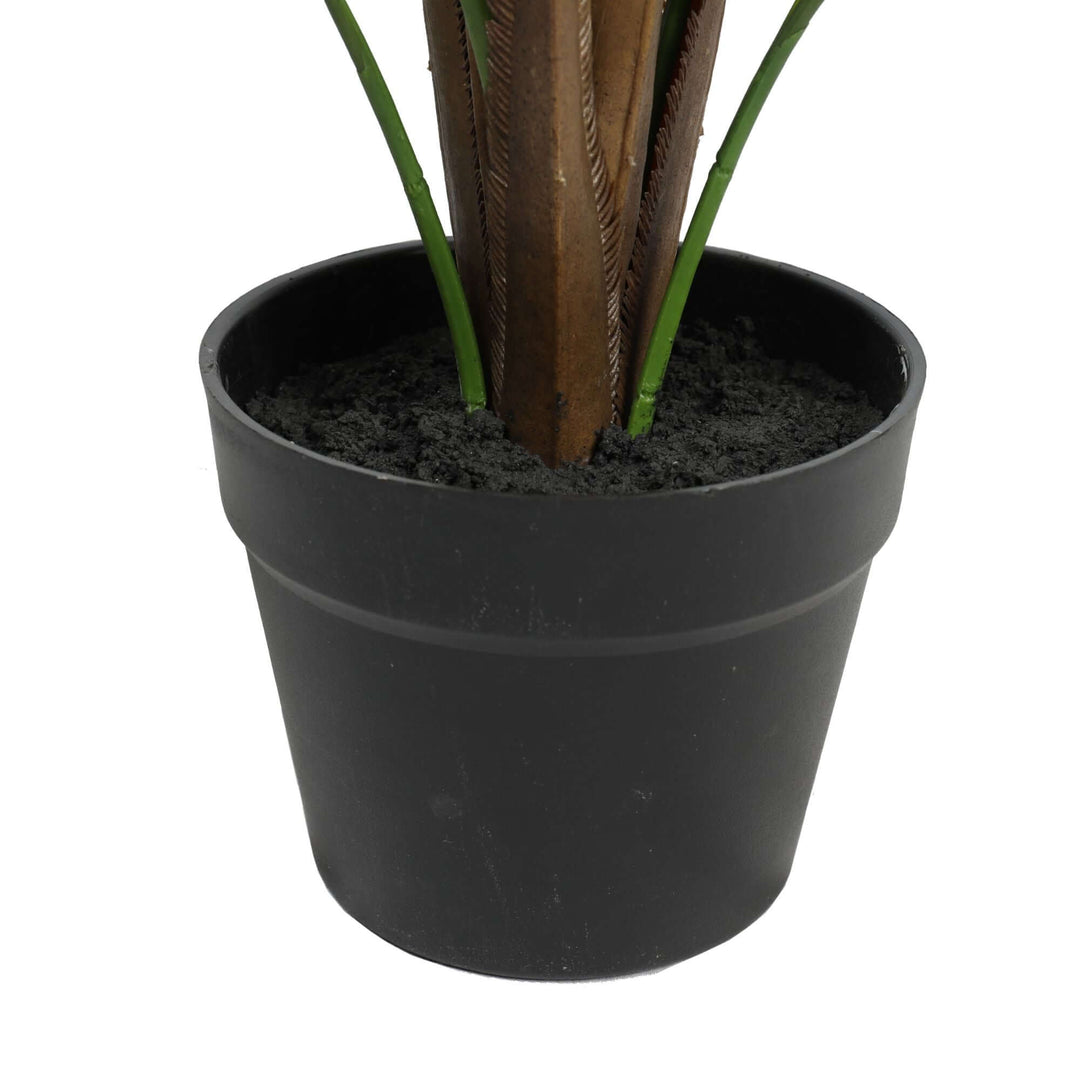 DSZ Product, feed-cond-new, feed-sl-DSZ Freight Payable, newSmall Artificial Areca Palm Plant 80Cm - Premium Home & Garden > Artificial Plants > Artifical Flowers & Plants from Designer Plants ! Shop Online Buy Now at S & D's Value Store Family Business Best Customer ServiceDSZ Product, feed-cond-new, feed-sl-DSZ Freight Payable, new