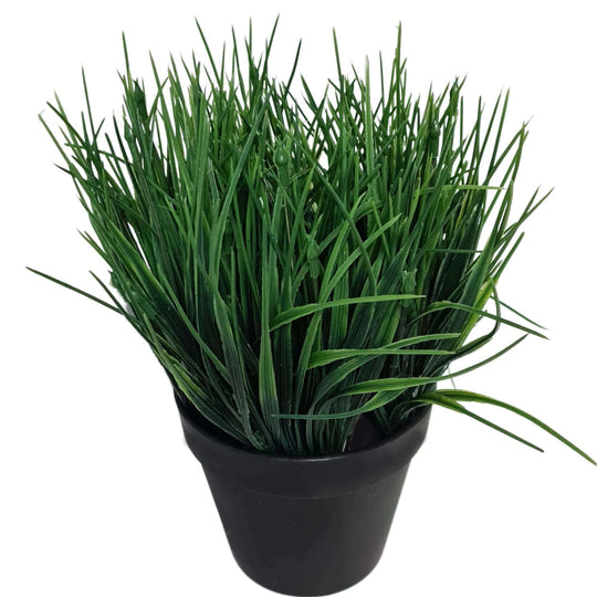 DSZ Product, feed-cond-new, feed-sl-DSZ Freight Payable, newArtificial Ornamental Potted Dense Green Grass Uv Resistant 30Cm (Overstock Clearance) - Premium Home & Garden > Artificial Plants > Artifical Flowers & Plants from Designer Plants ! Shop Online Buy Now at S & D's Value Store Family Business Best Customer ServiceDSZ Product, feed-cond-new, feed-sl-DSZ Freight Payable, new