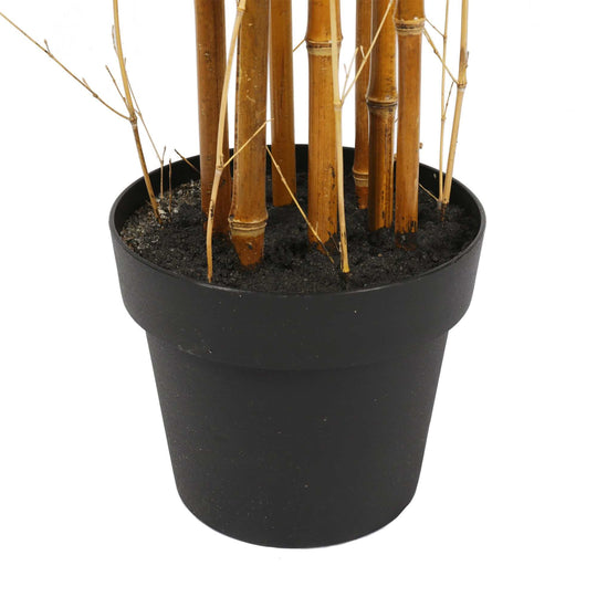 DSZ Product, feed-cond-new, feed-sl-DSZ Freight Payable, newPremium Natural Cane Artificial Bamboo (Uv Resistant) 180Cm - Premium Home & Garden > Artificial Plants > Artificial Trees from Designer Plants ! Shop Online Buy Now at S & D's Value Store Family Business Best Customer ServiceDSZ Product, feed-cond-new, feed-sl-DSZ Freight Payable, new