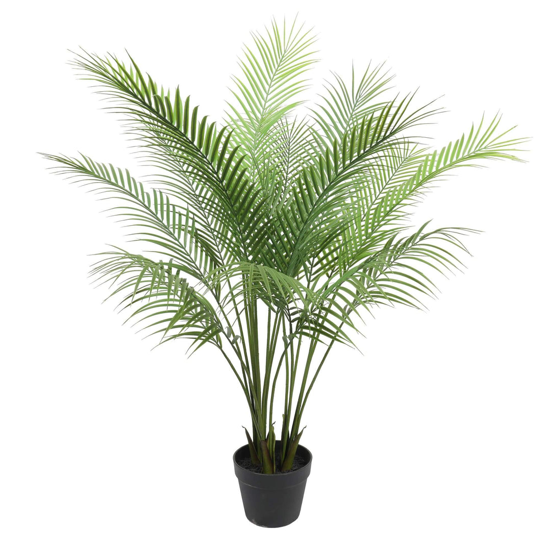 DSZ Product, feed-cond-new, feed-sl-DSZ Freight Payable, newArtificial Modern Bushy Areca Fern Tree 120Cm - Premium Home & Garden > Artificial Plants > Artifical Flowers & Plants from Designer Plants ! Shop Online Buy Now at S & D's Value Store Family Business Best Customer ServiceDSZ Product, feed-cond-new, feed-sl-DSZ Freight Payable, new