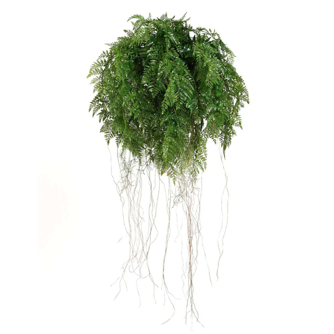 DSZ Product, feed-cond-new, feed-sl-DSZ Freight Payable, newLarge Lush Tropical Hanging Fern Ball 55Cm Diameter - Premium Home & Garden > Artificial Plants > Artifical Flowers & Plants from Designer Plants ! Shop Online Buy Now at S & D's Value Store Family Business Best Customer ServiceDSZ Product, feed-cond-new, feed-sl-DSZ Freight Payable, new