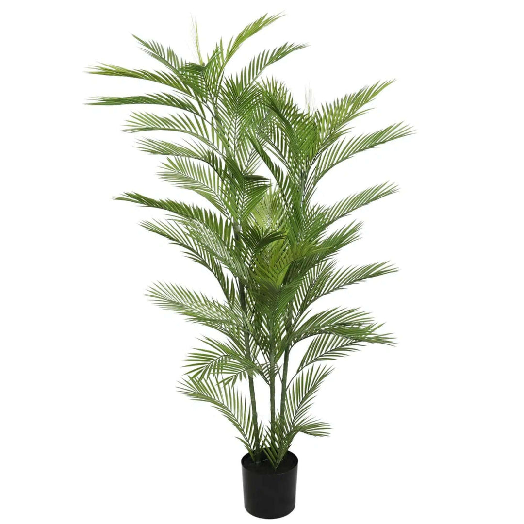 DSZ Product, feed-cond-new, feed-sl-DSZ Freight Payable, newReal Touch Artificial Phoenix Palm Tree Uv Resistant 180Cm - Premium Home & Garden > Artificial Plants > Artificial Trees from Designer Plants ! Shop Online Buy Now at S & D's Value Store Family Business Best Customer ServiceDSZ Product, feed-cond-new, feed-sl-DSZ Freight Payable, new