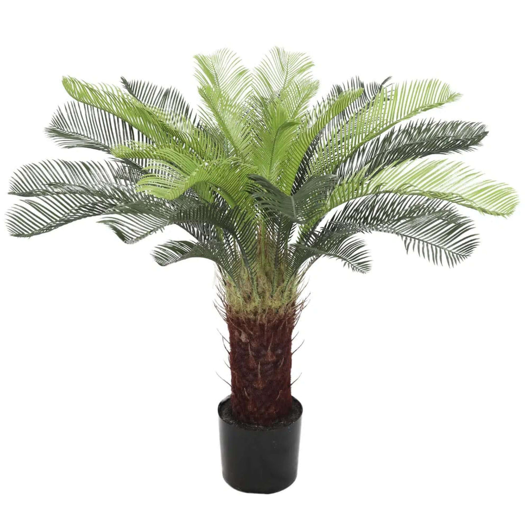 DSZ Product, feed-cond-new, feed-sl-DSZ Freight Payable, newArtificial Cycas / Cycad Palm Tree 105Cm Uv Resistant - Premium Home & Garden > Artificial Plants > Artificial Trees from Designer Plants ! Shop Online Buy Now at S & D's Value Store Family Business Best Customer ServiceDSZ Product, feed-cond-new, feed-sl-DSZ Freight Payable, new