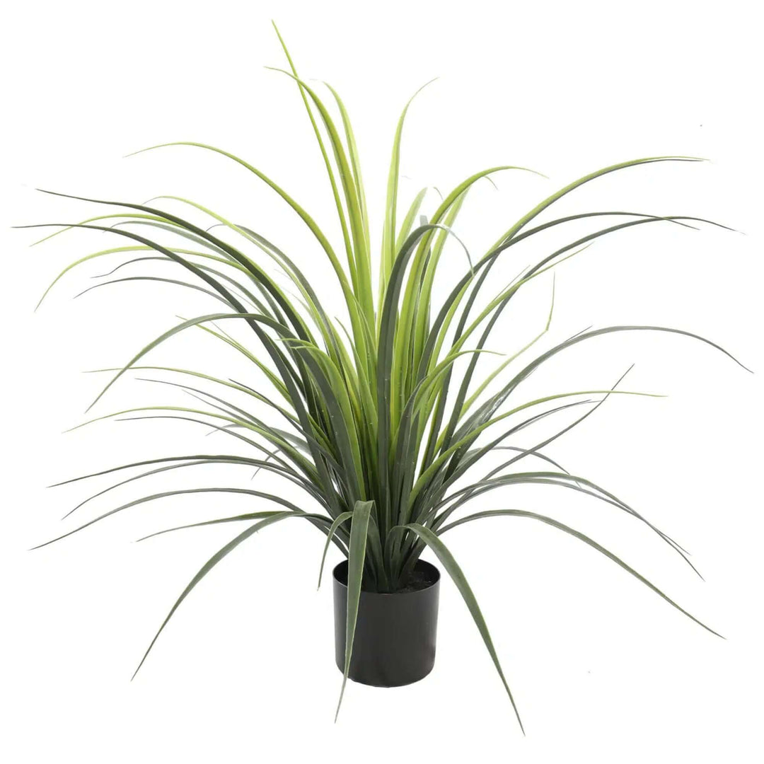 DSZ Product, feed-cond-new, feed-sl-DSZ Freight Payable, newPotted Artificial Long Grass (Yucca Grass) 75Cm Uv Resistant - Premium Home & Garden > Artificial Plants > Artifical Flowers & Plants from Designer Plants ! Shop Online Buy Now at S & D's Value Store Family Business Best Customer ServiceDSZ Product, feed-cond-new, feed-sl-DSZ Freight Payable, new