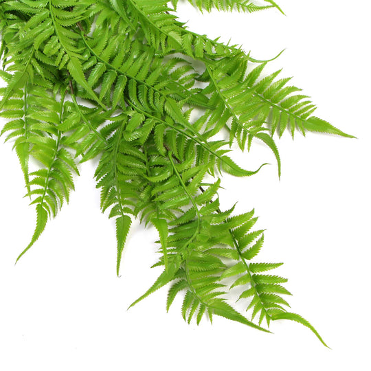 DSZ Product, feed-cond-new, feed-sl-DSZ Freight Payable, newArtificial Hanging English Fern (Two - Tone) Foliage Uv Resistant 80Cm - Premium Home & Garden > Artificial Plants > Artifical Flowers & Plants from Designer Plants ! Shop Online Buy Now at S & D's Value Store Family Business Best Customer ServiceDSZ Product, feed-cond-new, feed-sl-DSZ Freight Payable, new