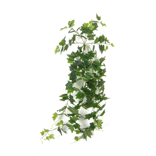 DSZ Product, feed-cond-new, feed-sl-DSZ Freight Payable, newArtificial Nearly Natural Artificial Hanging Ivy Bush 90Cm - Premium Home & Garden > Artificial Plants > Artifical Flowers & Plants from Designer Plants ! Shop Online Buy Now at S & D's Value Store Family Business Best Customer ServiceDSZ Product, feed-cond-new, feed-sl-DSZ Freight Payable, new