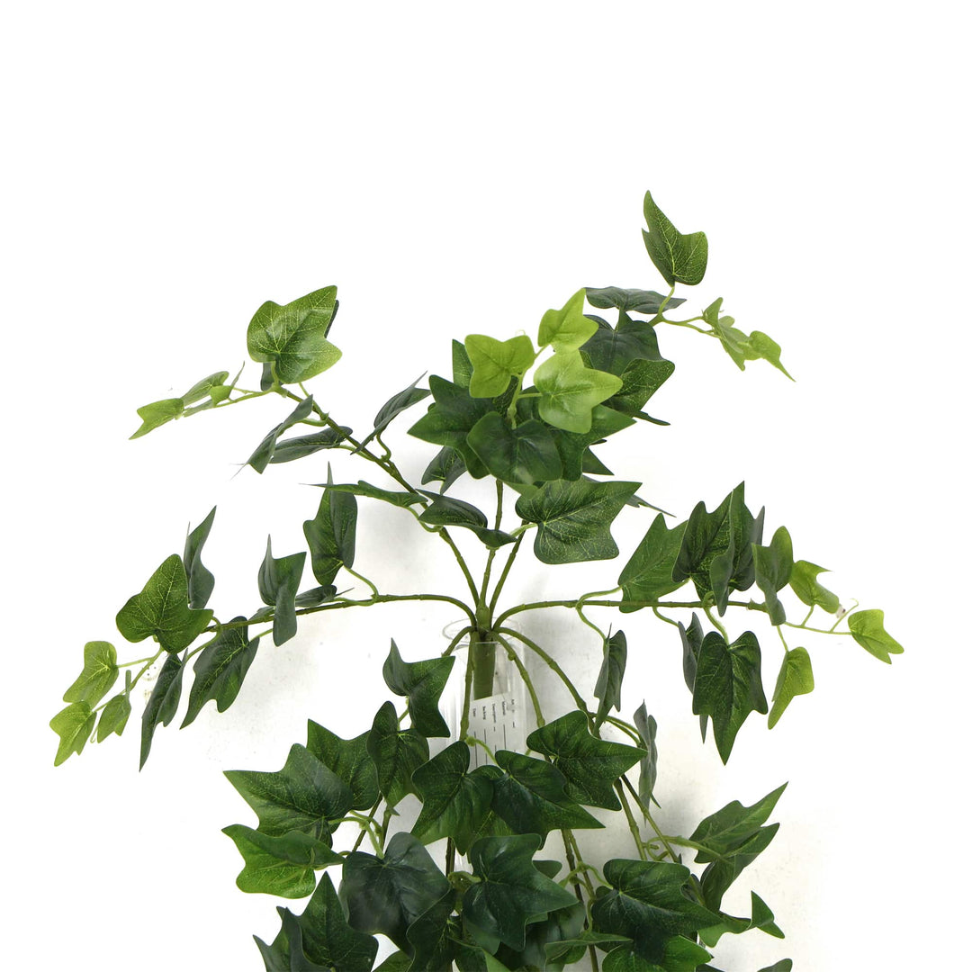 DSZ Product, feed-cond-new, feed-sl-DSZ Freight Payable, newArtificial Nearly Natural Artificial Hanging Ivy Bush 90Cm - Premium Home & Garden > Artificial Plants > Artifical Flowers & Plants from Designer Plants ! Shop Online Buy Now at S & D's Value Store Family Business Best Customer ServiceDSZ Product, feed-cond-new, feed-sl-DSZ Freight Payable, new