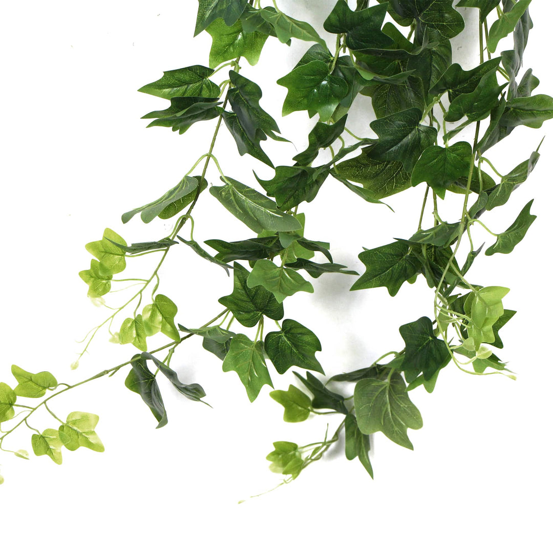 DSZ Product, feed-cond-new, feed-sl-DSZ Freight Payable, newArtificial Nearly Natural Artificial Hanging Ivy Bush 90Cm - Premium Home & Garden > Artificial Plants > Artifical Flowers & Plants from Designer Plants ! Shop Online Buy Now at S & D's Value Store Family Business Best Customer ServiceDSZ Product, feed-cond-new, feed-sl-DSZ Freight Payable, new