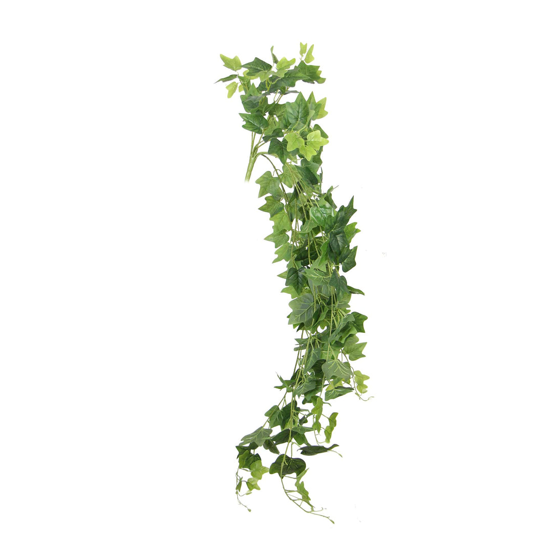 DSZ Product, feed-cond-new, feed-sl-DSZ Freight Payable, newArtificial Nearly Natural Artificial Hanging Ivy Bush 90Cm - Premium Home & Garden > Artificial Plants > Artifical Flowers & Plants from Designer Plants ! Shop Online Buy Now at S & D's Value Store Family Business Best Customer ServiceDSZ Product, feed-cond-new, feed-sl-DSZ Freight Payable, new