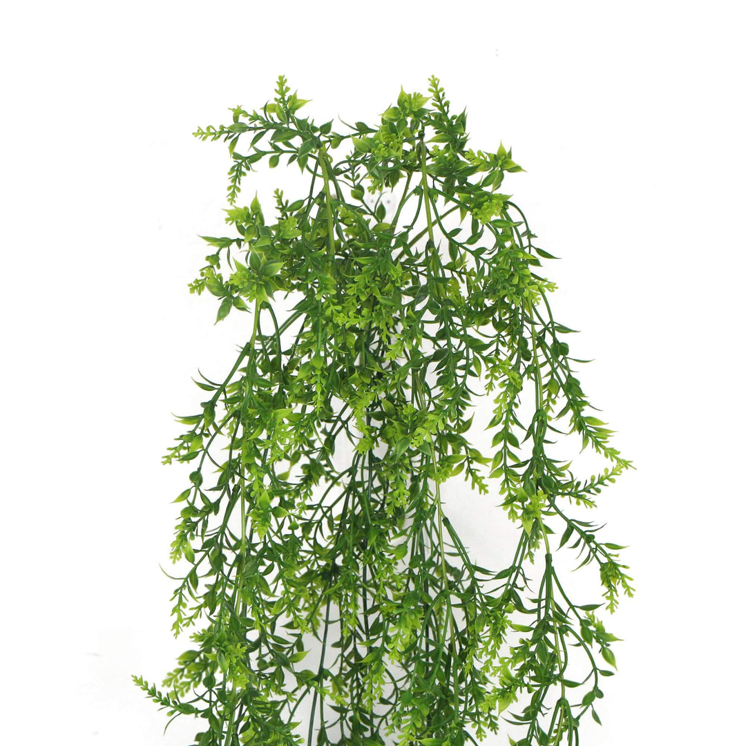 DSZ Product, feed-cond-new, feed-sl-DSZ Freight Payable, newArtificial Dense Hanging Evergreen Plant (Two - Tone) Uv Resistant 80Cm - Premium Home & Garden > Artificial Plants > Artifical Flowers & Plants from Designer Plants ! Shop Online Buy Now at S & D's Value Store Family Business Best Customer ServiceDSZ Product, feed-cond-new, feed-sl-DSZ Freight Payable, new