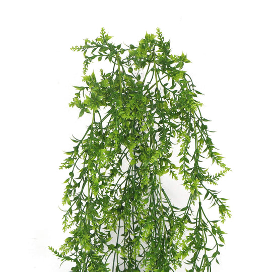 DSZ Product, feed-cond-new, feed-sl-DSZ Freight Payable, newArtificial Dense Hanging Evergreen Plant (Two - Tone) Uv Resistant 80Cm - Premium Home & Garden > Artificial Plants > Artifical Flowers & Plants from Designer Plants ! Shop Online Buy Now at S & D's Value Store Family Business Best Customer ServiceDSZ Product, feed-cond-new, feed-sl-DSZ Freight Payable, new