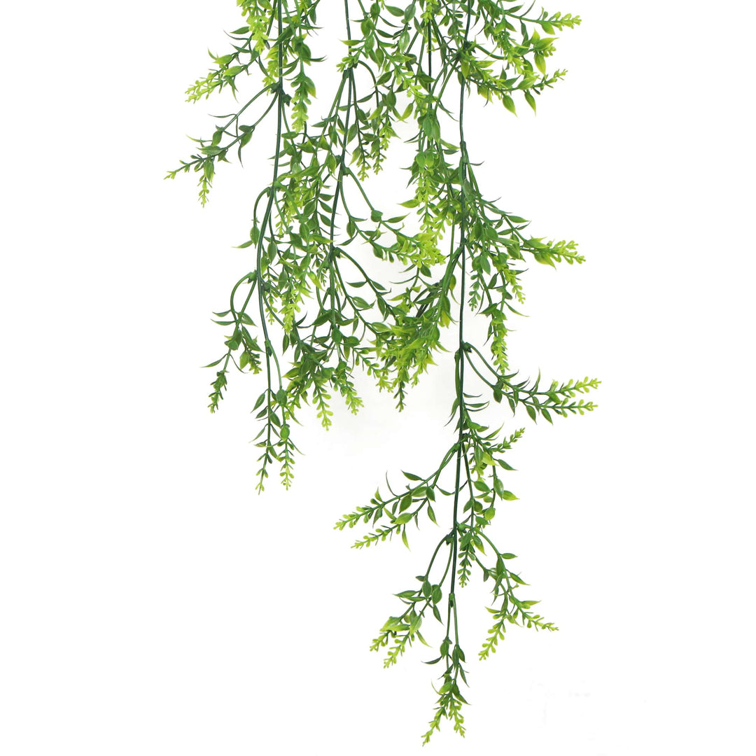 DSZ Product, feed-cond-new, feed-sl-DSZ Freight Payable, newArtificial Dense Hanging Evergreen Plant (Two - Tone) Uv Resistant 80Cm - Premium Home & Garden > Artificial Plants > Artifical Flowers & Plants from Designer Plants ! Shop Online Buy Now at S & D's Value Store Family Business Best Customer ServiceDSZ Product, feed-cond-new, feed-sl-DSZ Freight Payable, new