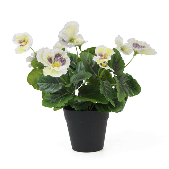 DSZ Product, feed-cond-new, feed-sl-DSZ Freight Payable, newMixed White Flowering Potted Artificial Pansy Plants 25Cm - Premium Home & Garden > Artificial Plants > Artifical Flowers & Plants from Designer Plants ! Shop Online Buy Now at S & D's Value Store Family Business Best Customer ServiceDSZ Product, feed-cond-new, feed-sl-DSZ Freight Payable, new