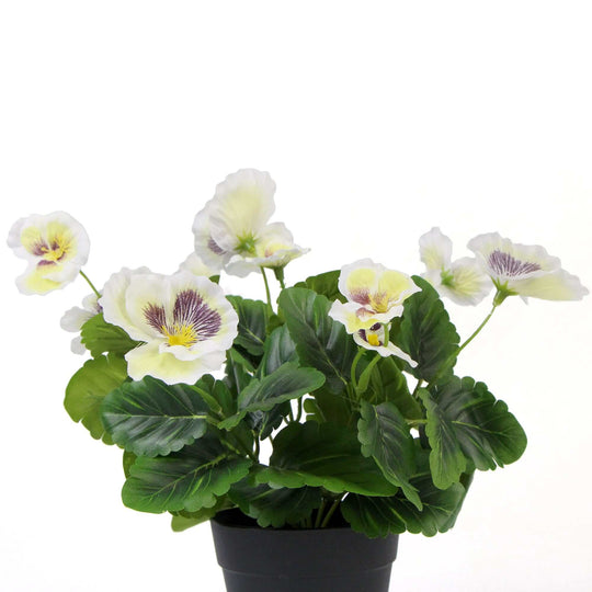 DSZ Product, feed-cond-new, feed-sl-DSZ Freight Payable, newMixed White Flowering Potted Artificial Pansy Plants 25Cm - Premium Home & Garden > Artificial Plants > Artifical Flowers & Plants from Designer Plants ! Shop Online Buy Now at S & D's Value Store Family Business Best Customer ServiceDSZ Product, feed-cond-new, feed-sl-DSZ Freight Payable, new