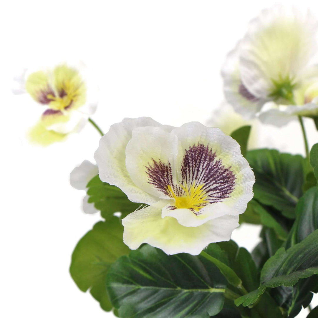 DSZ Product, feed-cond-new, feed-sl-DSZ Freight Payable, newMixed White Flowering Potted Artificial Pansy Plants 25Cm - Premium Home & Garden > Artificial Plants > Artifical Flowers & Plants from Designer Plants ! Shop Online Buy Now at S & D's Value Store Family Business Best Customer ServiceDSZ Product, feed-cond-new, feed-sl-DSZ Freight Payable, new