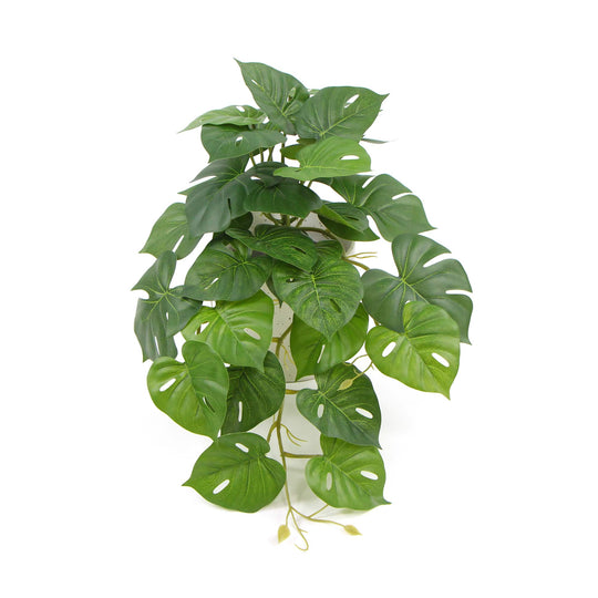 DSZ Product, feed-cond-new, feed-sl-DSZ Freight Payable, newDecorative Ceramic Bowl Potted Artificial Monstera Plant 30Cm - Premium Home & Garden > Artificial Plants > Artifical Flowers & Plants from Designer Plants ! Shop Online Buy Now at S & D's Value Store Family Business Best Customer ServiceDSZ Product, feed-cond-new, feed-sl-DSZ Freight Payable, new