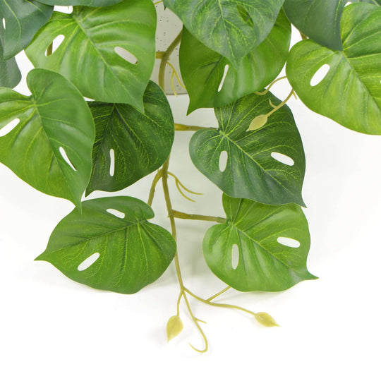 DSZ Product, feed-cond-new, feed-sl-DSZ Freight Payable, newDecorative Ceramic Bowl Potted Artificial Monstera Plant 30Cm - Premium Home & Garden > Artificial Plants > Artifical Flowers & Plants from Designer Plants ! Shop Online Buy Now at S & D's Value Store Family Business Best Customer ServiceDSZ Product, feed-cond-new, feed-sl-DSZ Freight Payable, new