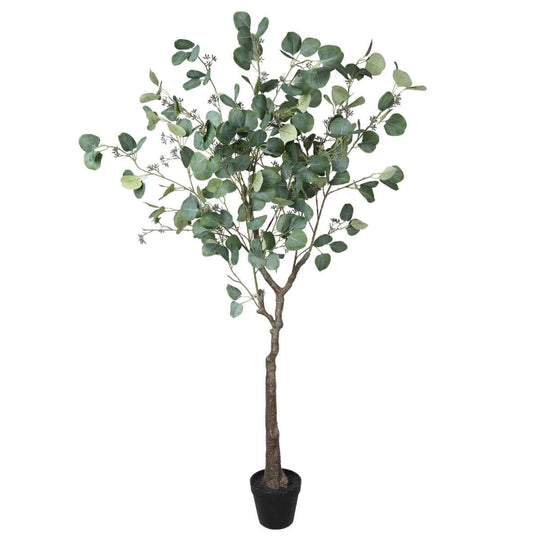 DSZ Product, feed-cond-new, feed-sl-DSZ Freight Payable, newArtificial Eucalyptus Tree (Red Box Eucalyptus Polyanthemos) 150Cm - Premium Home & Garden > Artificial Plants > Artificial Trees from DSZ ! Shop Online Buy Now at S & D's Value Store Family Business Best Customer ServiceDSZ Product, feed-cond-new, feed-sl-DSZ Freight Payable, new