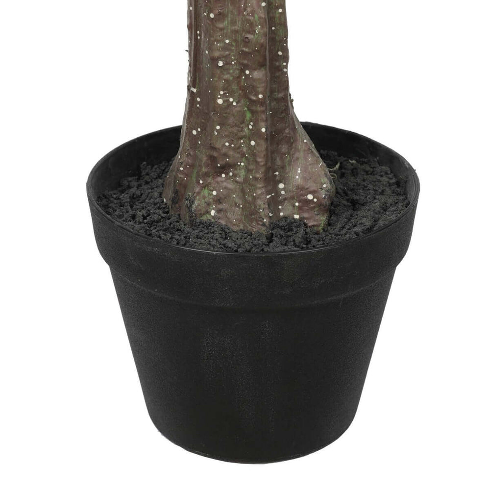 DSZ Product, feed-cond-new, feed-sl-DSZ Freight Payable, newArtificial Eucalyptus Tree (Red Box Eucalyptus Polyanthemos) 150Cm - Premium Home & Garden > Artificial Plants > Artificial Trees from DSZ ! Shop Online Buy Now at S & D's Value Store Family Business Best Customer ServiceDSZ Product, feed-cond-new, feed-sl-DSZ Freight Payable, new