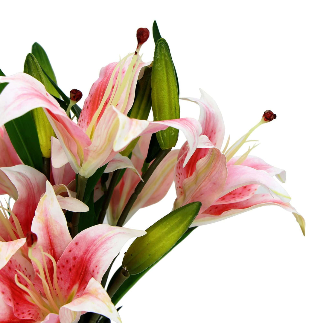 DSZ Product, feed-cond-new, feed-sl-DSZ Freight Payable, newPremium Faux Pink Lily In Glass Vase (Artificial Tiger Lily Arrangement) - Premium Home & Garden > Artificial Plants > Artifical Flowers & Plants from Designer Plants ! Shop Online Buy Now at S & D's Value Store Family Business Best Customer ServiceDSZ Product, feed-cond-new, feed-sl-DSZ Freight Payable, new