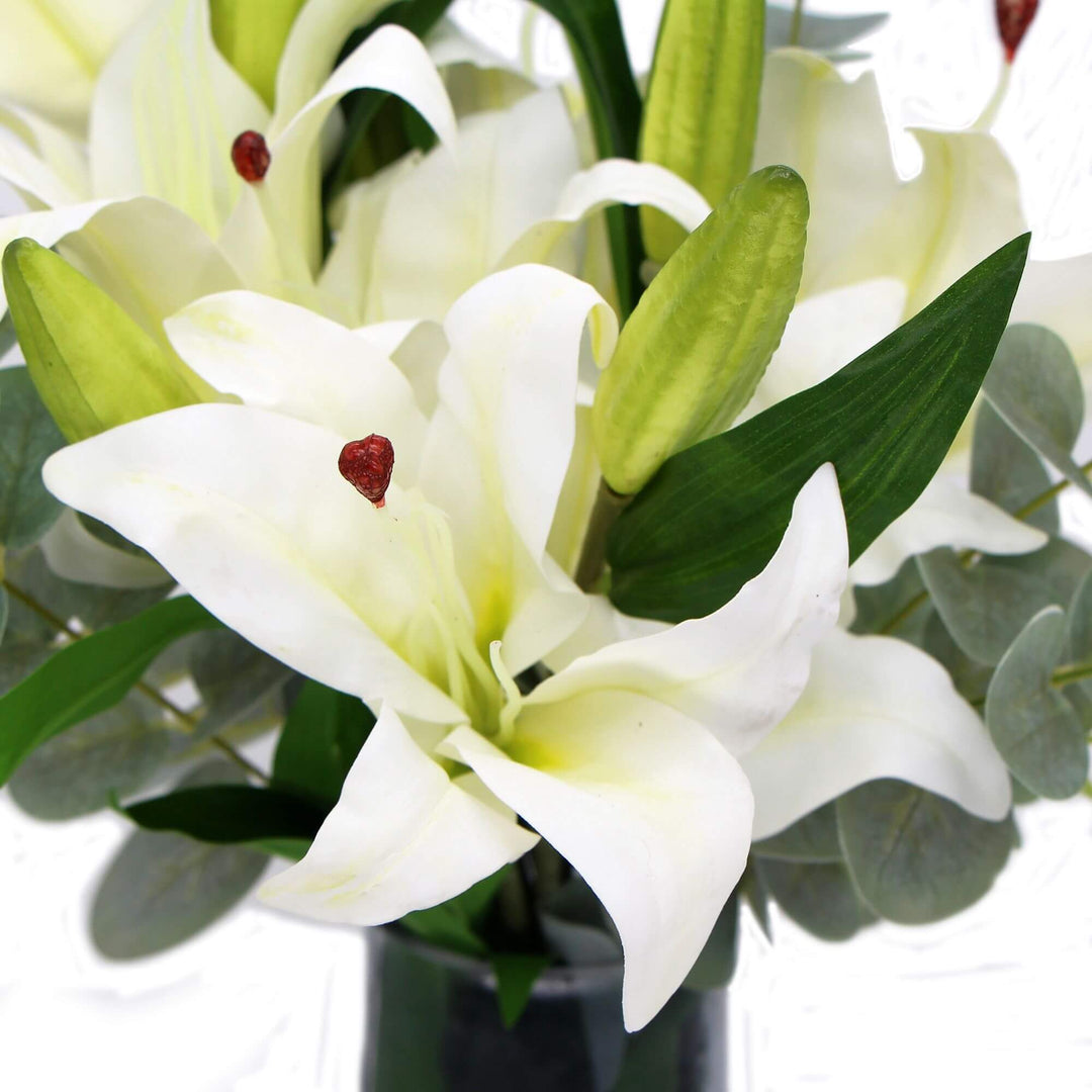 DSZ Product, feed-cond-new, feed-sl-DSZ Freight Payable, newPremium Faux White Lily In Glass Vase (Tiger Lily Bouquet With Eucalyptus) - Premium Home & Garden > Artificial Plants > Artifical Flowers & Plants from Designer Plants ! Shop Online Buy Now at S & D's Value Store Family Business Best Customer ServiceDSZ Product, feed-cond-new, feed-sl-DSZ Freight Payable, new