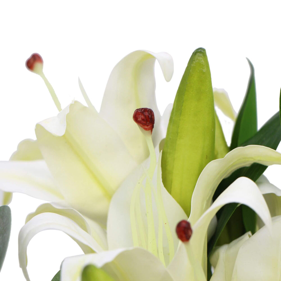 DSZ Product, feed-cond-new, feed-sl-DSZ Freight Payable, newPremium Faux White Lily In Glass Vase (Tiger Lily Bouquet With Eucalyptus) - Premium Home & Garden > Artificial Plants > Artifical Flowers & Plants from Designer Plants ! Shop Online Buy Now at S & D's Value Store Family Business Best Customer ServiceDSZ Product, feed-cond-new, feed-sl-DSZ Freight Payable, new