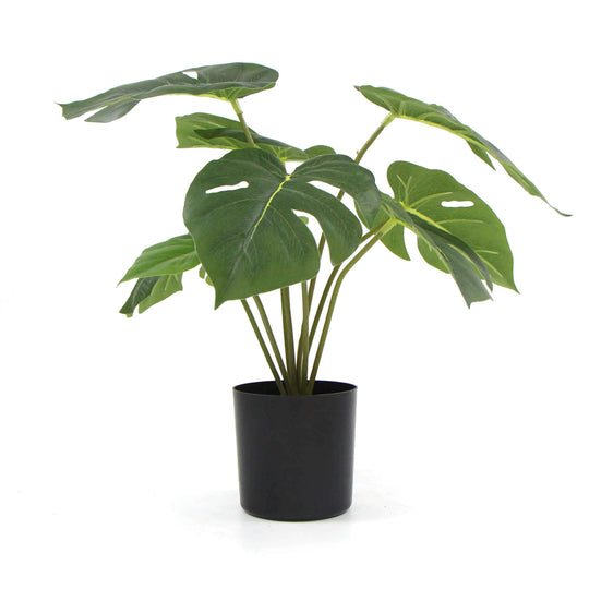 DSZ Product, feed-cond-new, feed-sl-DSZ Freight Payable, newPotted Artificial Split Philodendron Plant With Real Touch Leaves 35Cm - Premium Home & Garden > Artificial Plants > Artifical Flowers & Plants from DSZ ! Shop Online Buy Now at S & D's Value Store Family Business Best Customer ServiceDSZ Product, feed-cond-new, feed-sl-DSZ Freight Payable, new