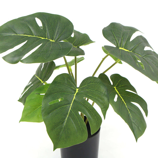 DSZ Product, feed-cond-new, feed-sl-DSZ Freight Payable, newPotted Artificial Split Philodendron Plant With Real Touch Leaves 35Cm - Premium Home & Garden > Artificial Plants > Artifical Flowers & Plants from DSZ ! Shop Online Buy Now at S & D's Value Store Family Business Best Customer ServiceDSZ Product, feed-cond-new, feed-sl-DSZ Freight Payable, new