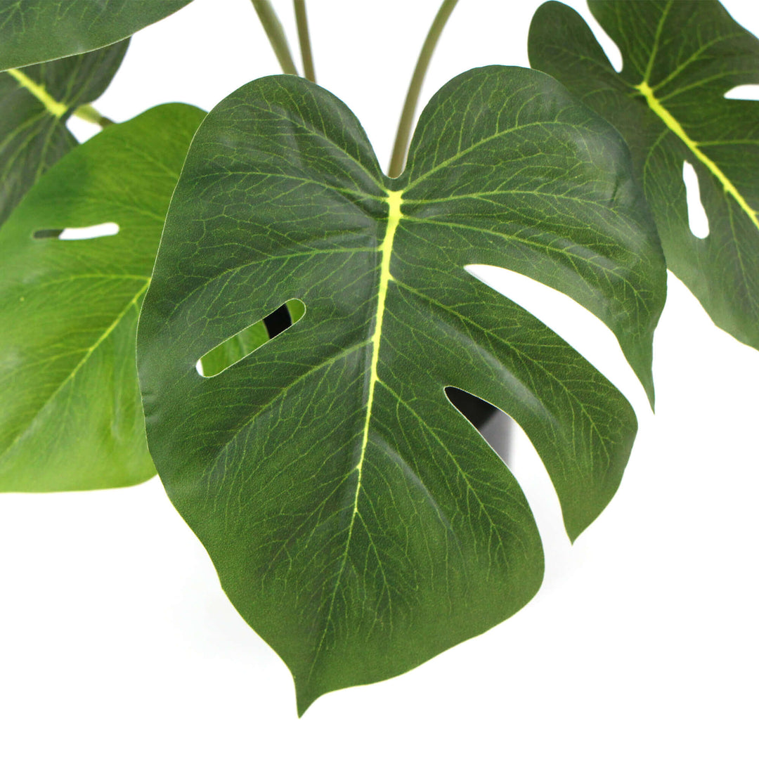 DSZ Product, feed-cond-new, feed-sl-DSZ Freight Payable, newPotted Artificial Split Philodendron Plant With Real Touch Leaves 35Cm - Premium Home & Garden > Artificial Plants > Artifical Flowers & Plants from DSZ ! Shop Online Buy Now at S & D's Value Store Family Business Best Customer ServiceDSZ Product, feed-cond-new, feed-sl-DSZ Freight Payable, new