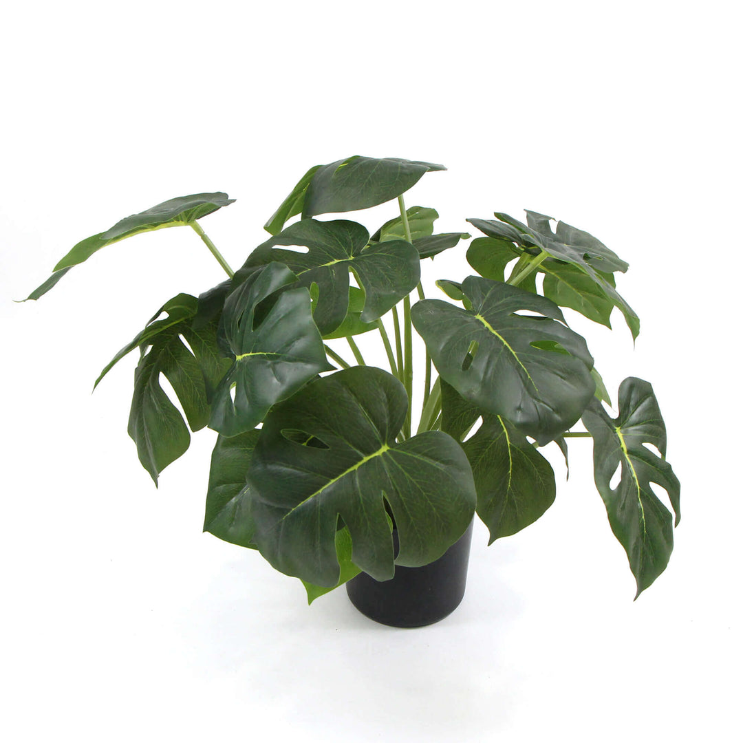 DSZ Product, feed-cond-new, feed-sl-DSZ Freight Payable, newDense Potted Artificial Split Philodendron Plant With Real Touch Leaves 50Cm - Premium Home & Garden > Artificial Plants > Artifical Flowers & Plants from DSZ ! Shop Online Buy Now at S & D's Value Store Family Business Best Customer ServiceDSZ Product, feed-cond-new, feed-sl-DSZ Freight Payable, new