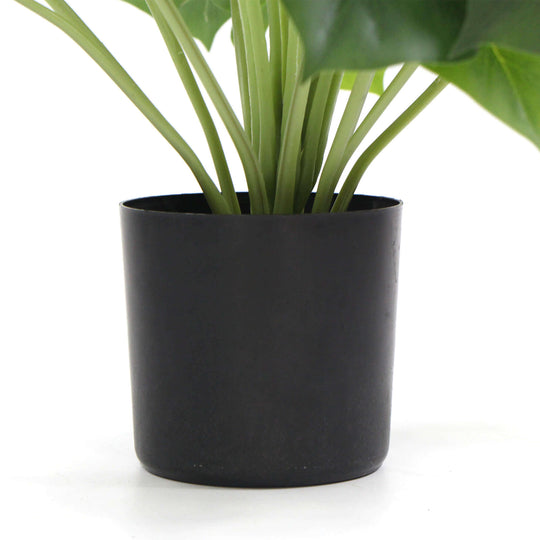 DSZ Product, feed-cond-new, feed-sl-DSZ Freight Payable, newDense Potted Artificial Split Philodendron Plant With Real Touch Leaves 50Cm - Premium Home & Garden > Artificial Plants > Artifical Flowers & Plants from DSZ ! Shop Online Buy Now at S & D's Value Store Family Business Best Customer ServiceDSZ Product, feed-cond-new, feed-sl-DSZ Freight Payable, new