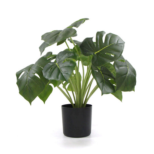 DSZ Product, feed-cond-new, feed-sl-DSZ Freight Payable, newDense Potted Artificial Split Philodendron Plant With Real Touch Leaves 50Cm - Premium Home & Garden > Artificial Plants > Artifical Flowers & Plants from DSZ ! Shop Online Buy Now at S & D's Value Store Family Business Best Customer ServiceDSZ Product, feed-cond-new, feed-sl-DSZ Freight Payable, new