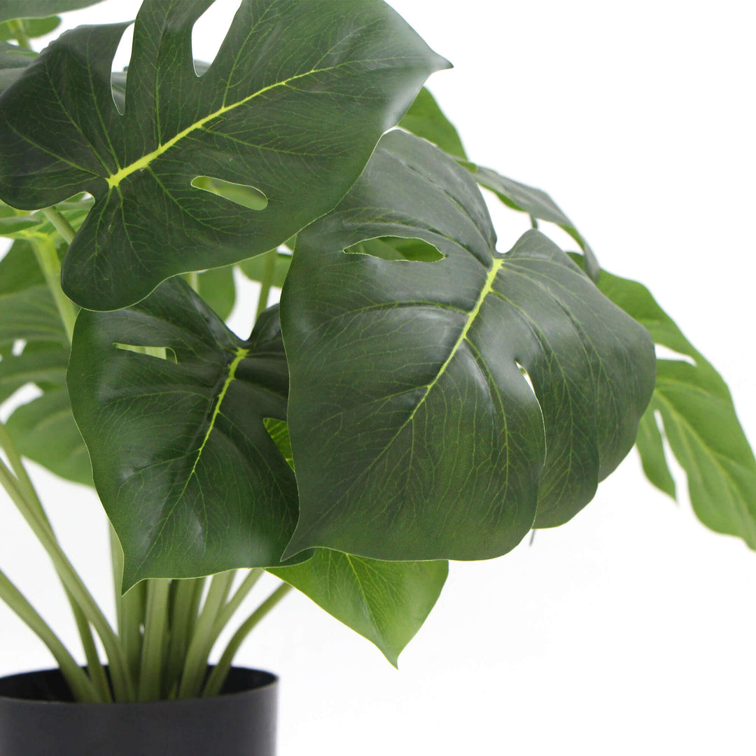 DSZ Product, feed-cond-new, feed-sl-DSZ Freight Payable, newDense Potted Artificial Split Philodendron Plant With Real Touch Leaves 50Cm - Premium Home & Garden > Artificial Plants > Artifical Flowers & Plants from DSZ ! Shop Online Buy Now at S & D's Value Store Family Business Best Customer ServiceDSZ Product, feed-cond-new, feed-sl-DSZ Freight Payable, new